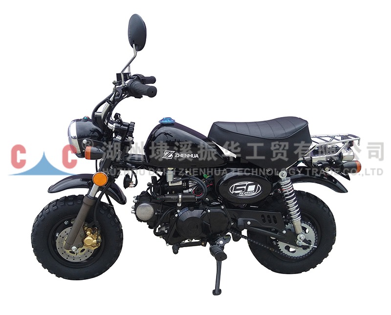 Experience the Future of Riding: SR Fashionable Gasoline Touring Bike - Perfect for You? Discover Now!
