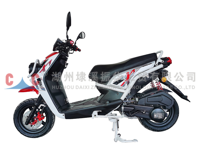 DWS Wholesale Customized  Gasoline Fuel Pump China Manufacturer Motorcycle Carrier