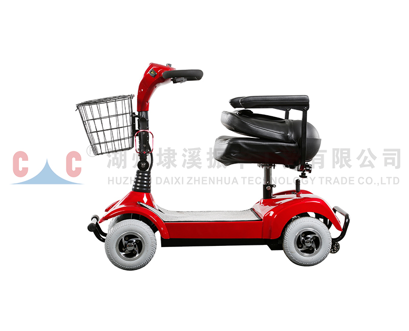 Scooter Has Fuel Economy